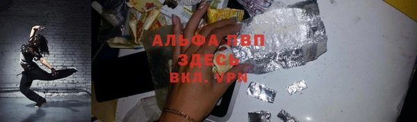 стаф Алексин
