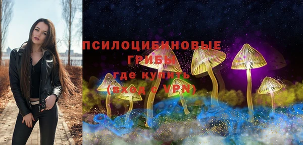 стаф Алексин