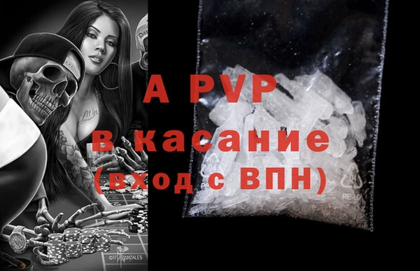 стаф Алексин