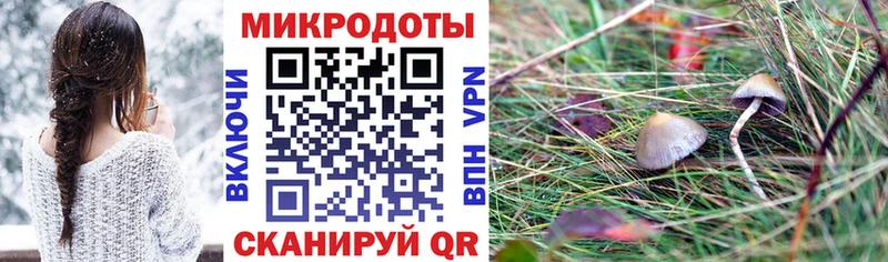 купить наркотик  Анива  mega вход  Псилоцибиновые грибы мухоморы 